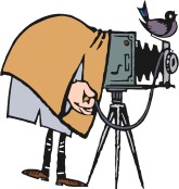 HURST MEDIA
